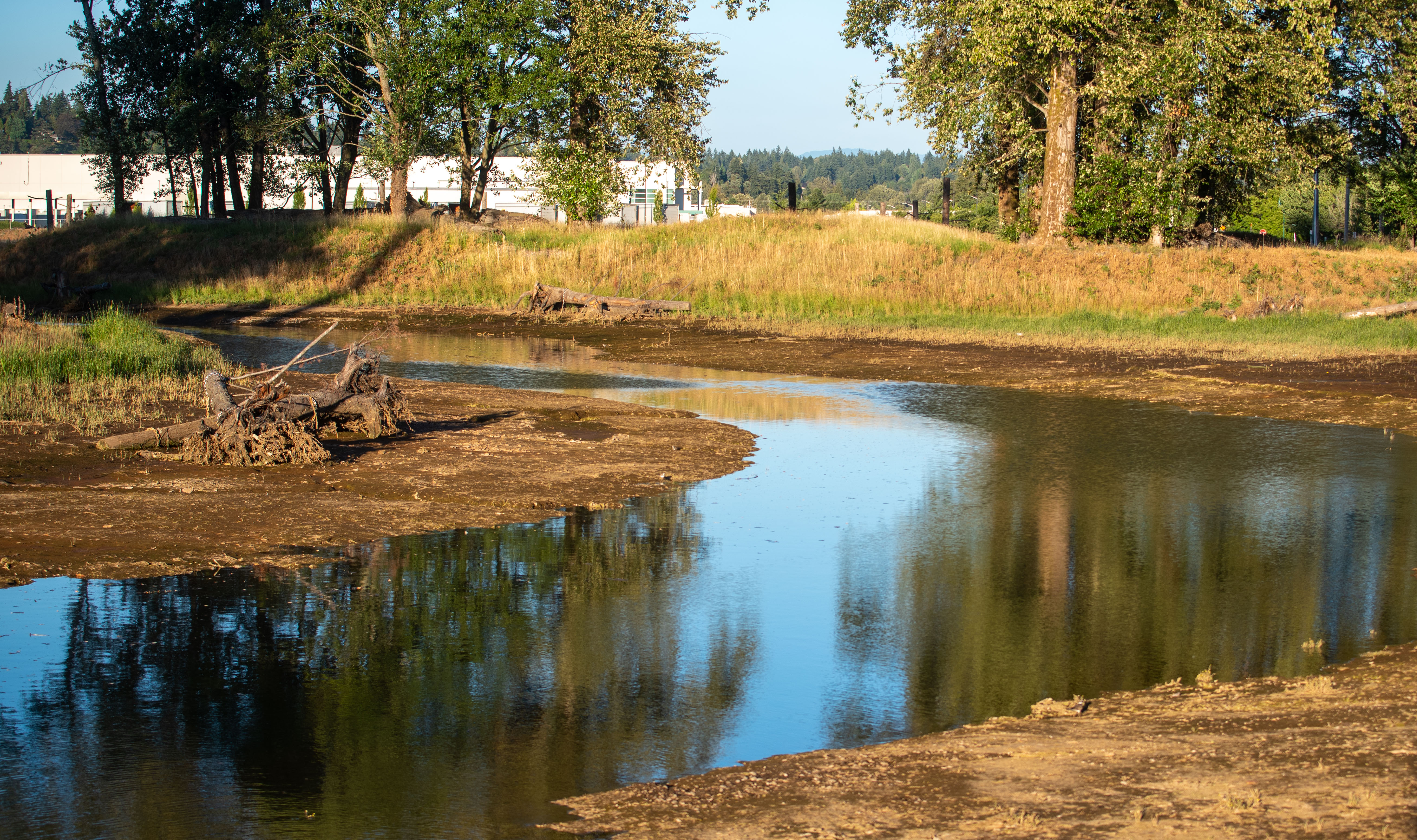 Wapato Creek