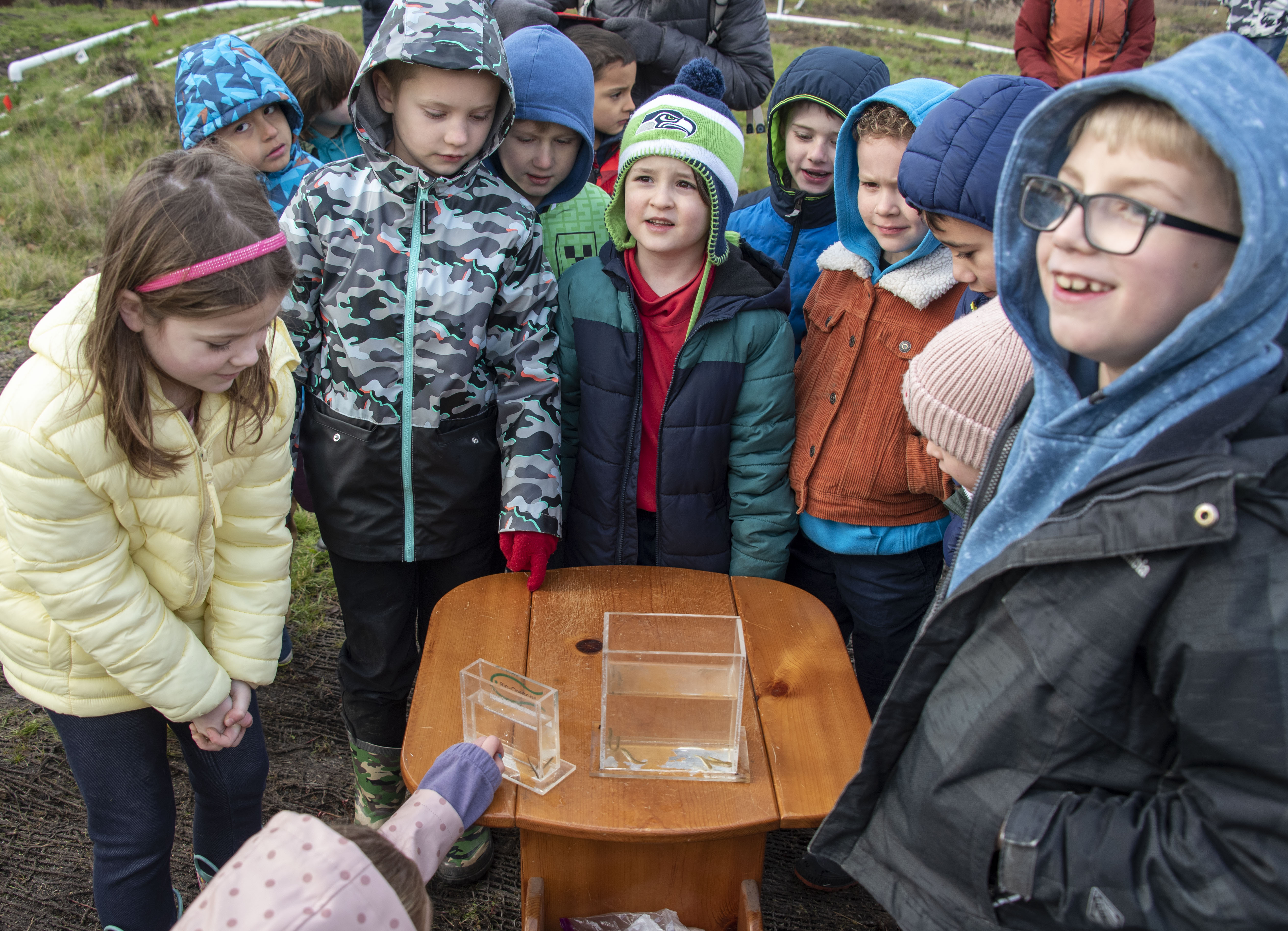 Tree planting event at Wapato Creek.