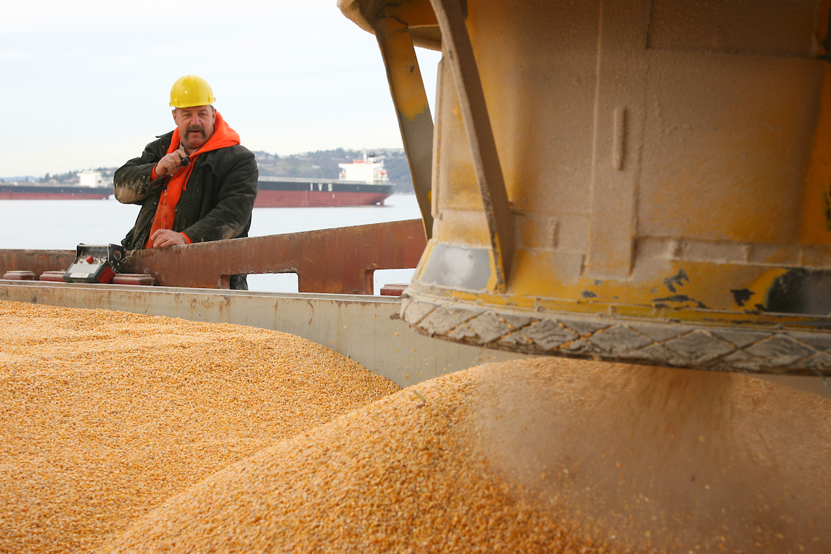 A man in a hard hat stands in front of a grain elevator.