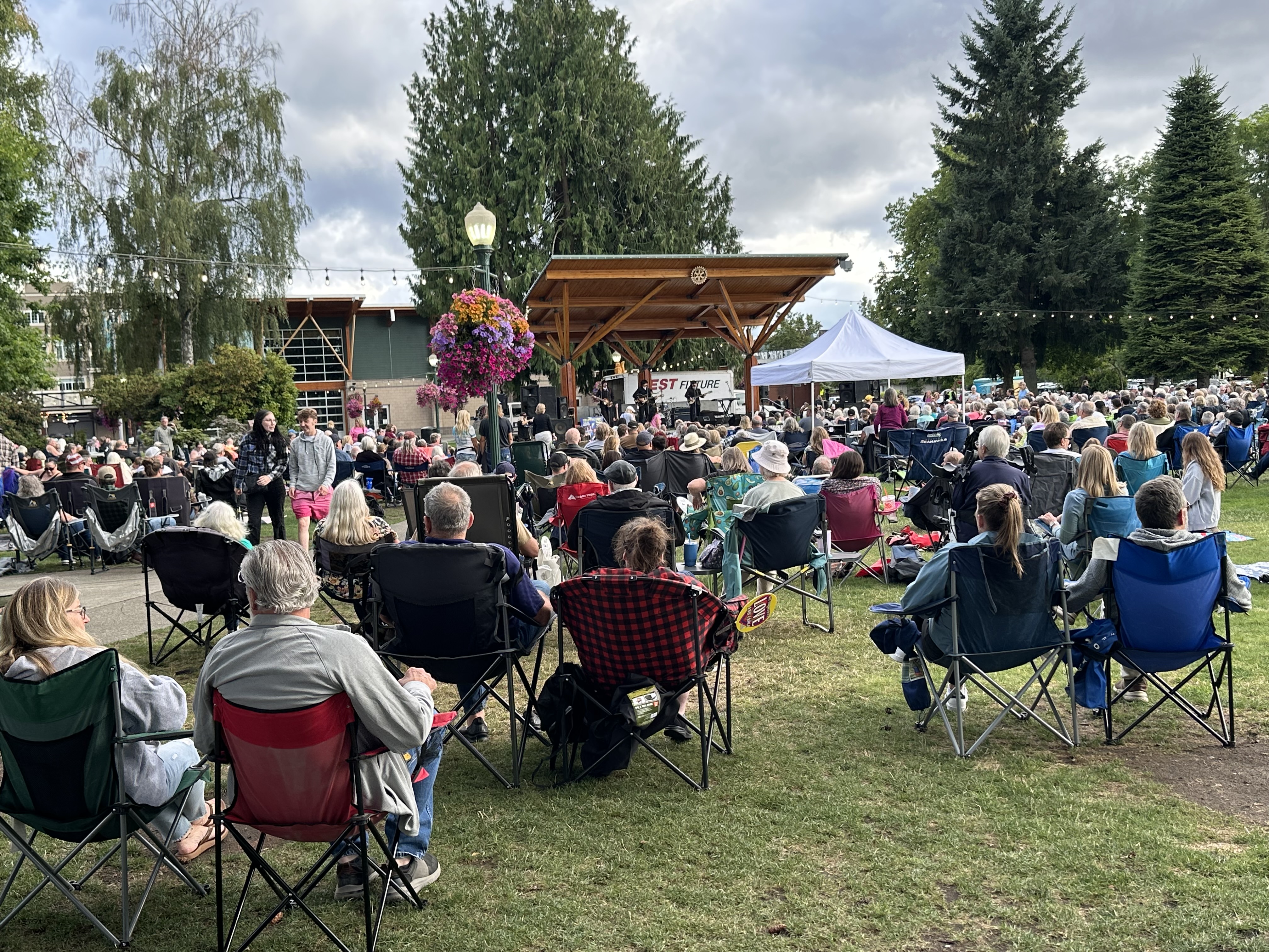 A group of concert goers seated on the grass listening to music.