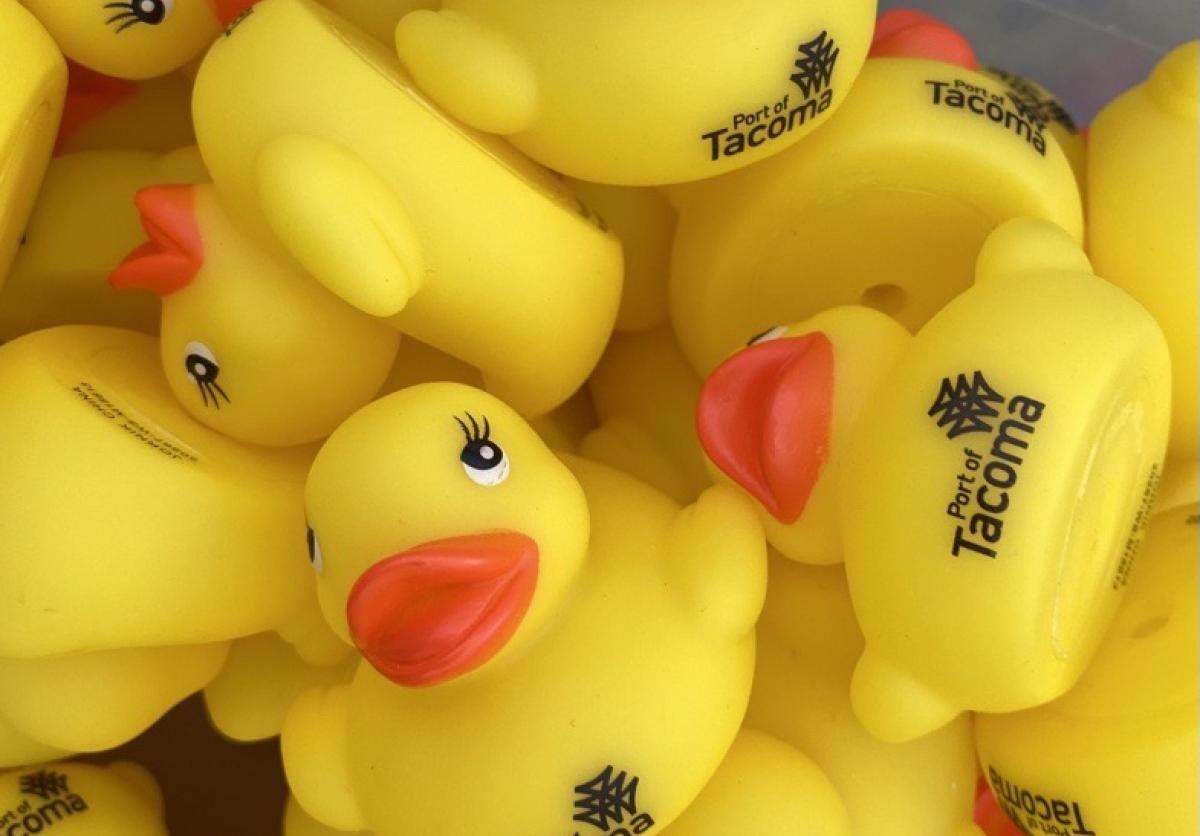 Yellow rubber Port ducks