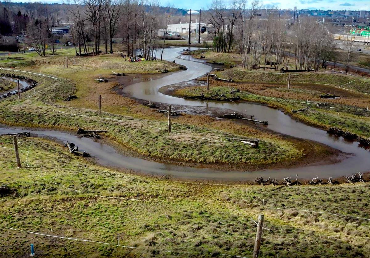 Lower Wapato Creek aerial shot