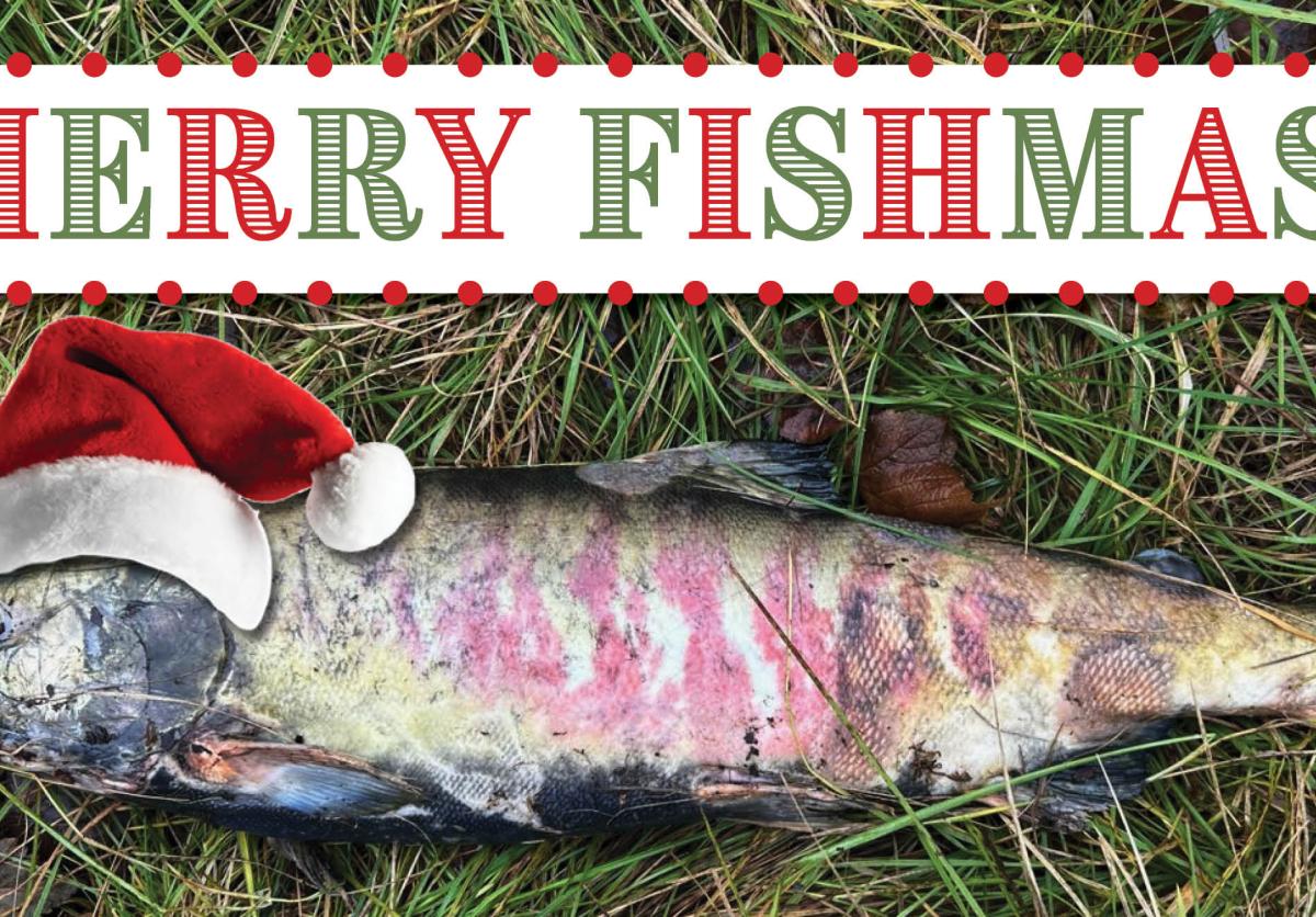 Merry Fish-mas, everybody!