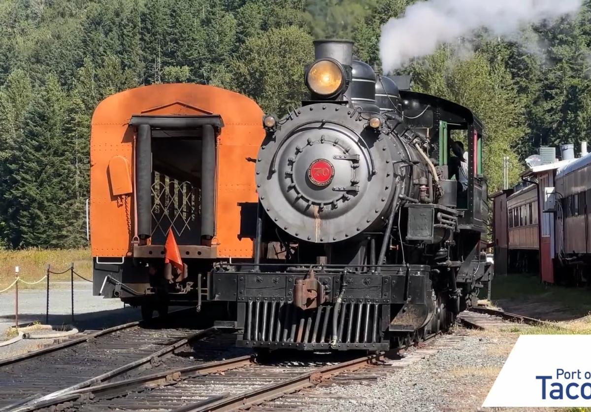 Steam Train